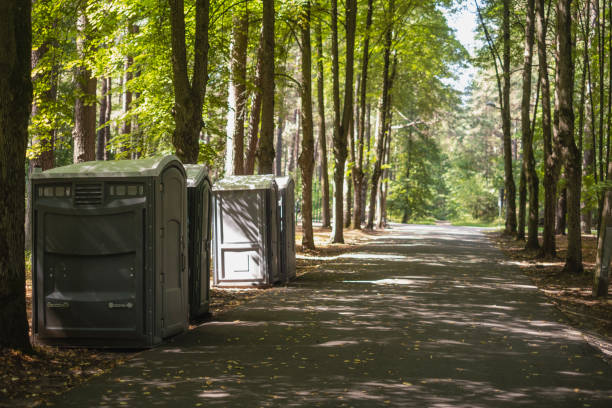 Portable Toilet Options We Offer in Mill City, OR